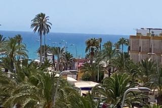 Apartamentos La Gaviota - Roquetas de Mar - 9