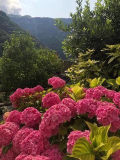Haus Granata Family - Trekking - Bike - Giazza - 8