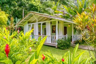La Rana De Cahuita - Cahuita - 7