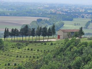 Villa fino 31 Posti - Vista Unica sulla Valle - Assisi Perugia - Pianello - 8