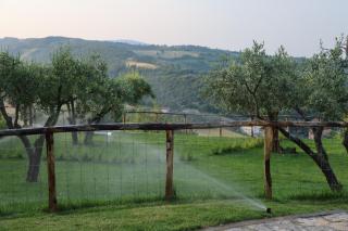 Villa fino 31 Posti - Vista Unica sulla Valle - Assisi Perugia - Pianello - 4