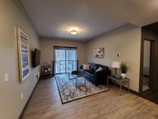 520 Neil Luxury 2 Bedroom - Champaign - 9