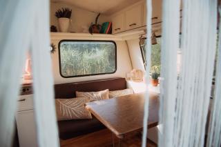 Wilcze Pole - tu odpoczniesz od świata - 5