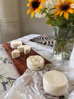 Zbereze 18 "Na Lipę" - 7