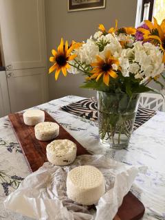 Zbereze 18 "Na Lipę" - 8