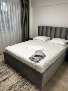 Traian Taranu Apartment - Suceava - 0