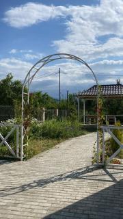 Chilagir_garden - 9