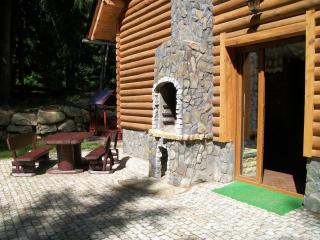 Domek Letniskowy Leśna Chata - 6