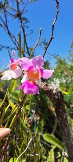 Valle Luna - El Valle de Antón - 4