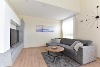 Apartamentai "Palangos Vilnelė" - 2