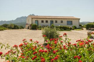 B&B Terra e Smeralda - Arzachena - 9