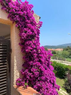 Casa Nautilus - Cannigione - 5