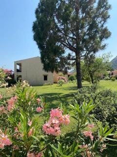 Casa Nautilus - Cannigione - 4