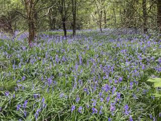 Serenity- Uk38551 - Endon - 6
