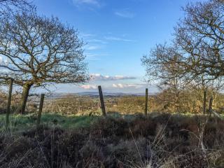 Tranquillity-Uk38552 - Endon - 2