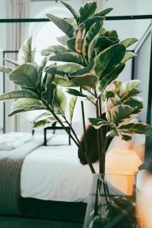 Dusk House - B'ham JQ Townhouse - Birmingham - 7