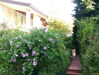 Residenza Alice - Toscana mare e monti - 8