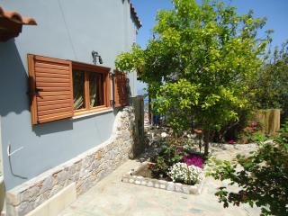 Celestia Villa - Città di Skiathos - 8