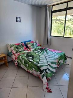 Vanylle Lodge - Punaauia - 8