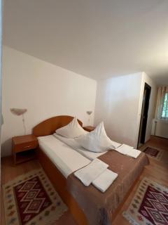 Vila Cretu Bran - Bran - 7