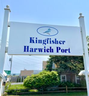 Kingfisher Harwich Port - Harwich Port - 0