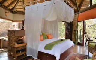 Wild and Free Game Lodge - Mabula - 4