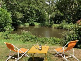 Retraite Paisible au Cœur de la Forêt de Rambouillet avec Étang Privé et Charme Authentique - FR-1-527-8 - Clairefontaine - 2