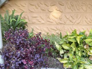 1 Bedroom Apartment near Graftons Waterfront - Grafton - 8