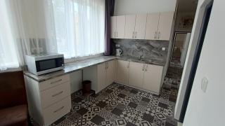 Apartments Gato Karlovy Vary Stara Role - Karlovy Vary - 6