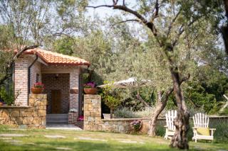 Nadas Kazdağları - 6