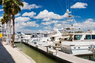 Holiday Inn & Suites Clearwater Beach S-Harbourside - 1
