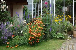 Traumblick Rebenmeer - 3