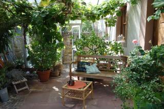 Traumblick Rebenmeer - 1