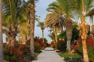 Hotel Paracas, a Luxury Collection Resort, Paracas - 4