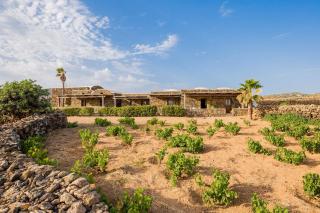 Tenuta Bukkuram - Pantelleria - 9