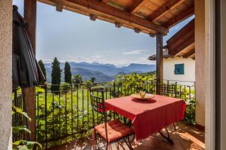 Weingut Lieselehof Apt Rosengarten - Caldaro - 2