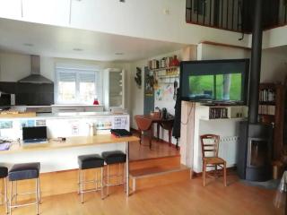 Le coin du bois piscine jacuzzi - 3