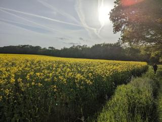 Self-catering guest annex - Norwich - 9