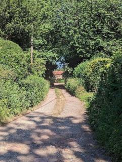 Self-catering guest annex - Norwich - 5