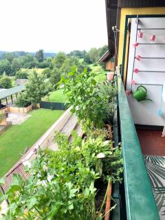 Cozy Apartment with a wonderful Panoramic View - Schiefling am See - 6