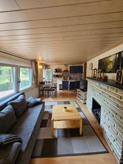 Ferienhaus am Urzeitpark Sebnitz - Hertigswalde - 7