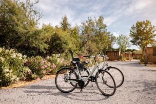 Blendin Retreat Agde - 3