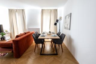 Central-new ; marvelous views - Vienne - 6