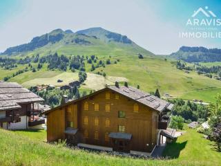 Duplex chaleureux, 3 chambres, 7-9 pers., proche commerces, vue pistes, garage privé - FR-1-391-23 - Le Grand-Bornand - 8