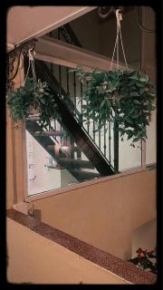 Our HomeStay - Hai Phong - 9