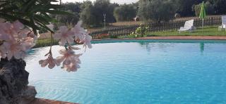 Agriturismo Bio Pian Dei Casali - 6