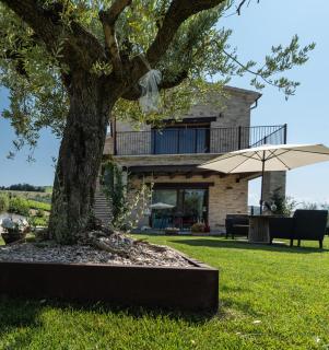 Agriturismo San Nicolino - 8