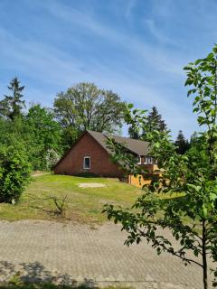 Dammann's Hof - Bispingen - 0