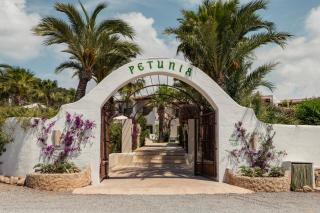 Petunia Ibiza, a Beaumier hotel - Cala Vadella - 9