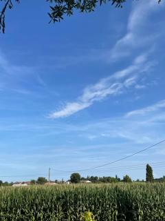 B&B Il Melograno - 8